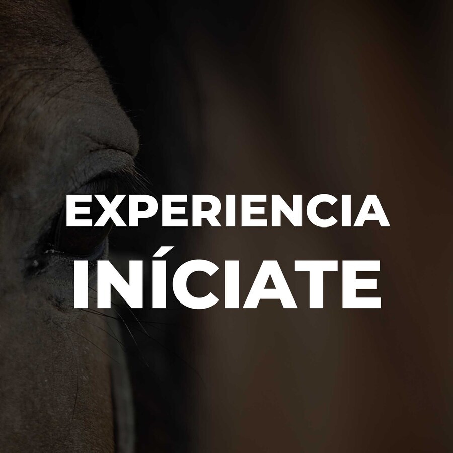 EXPERIENCIA INICIATE