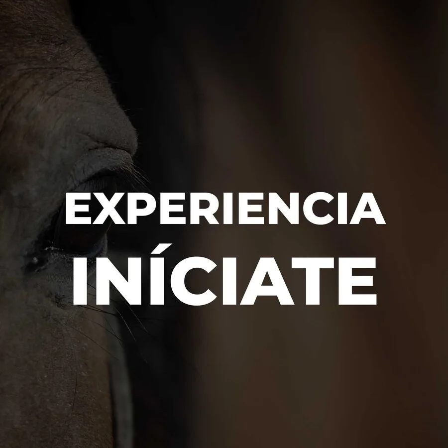 EXPERIENCIA INICIATE