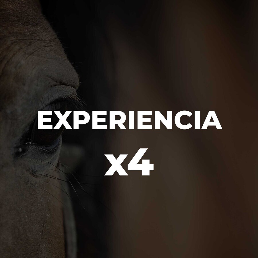 EXPERIENCIA  X4
