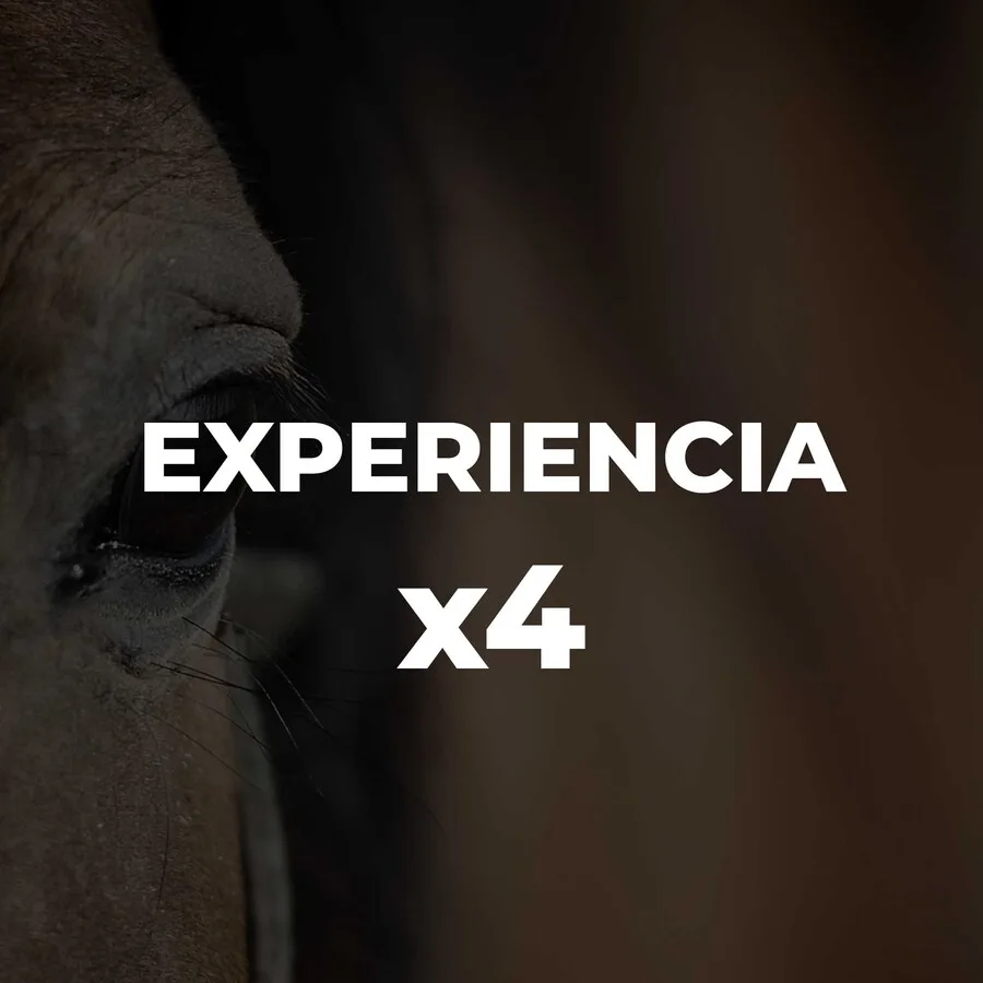 EXPERIENCIA  X4