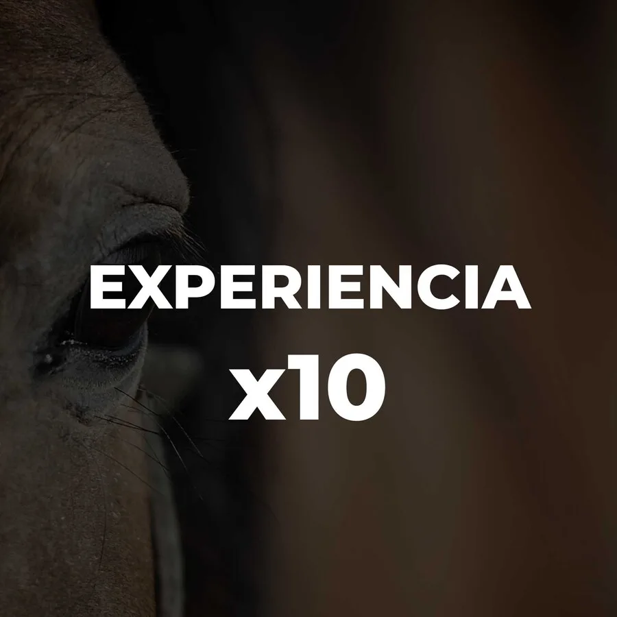 EXPERIENCIA X10