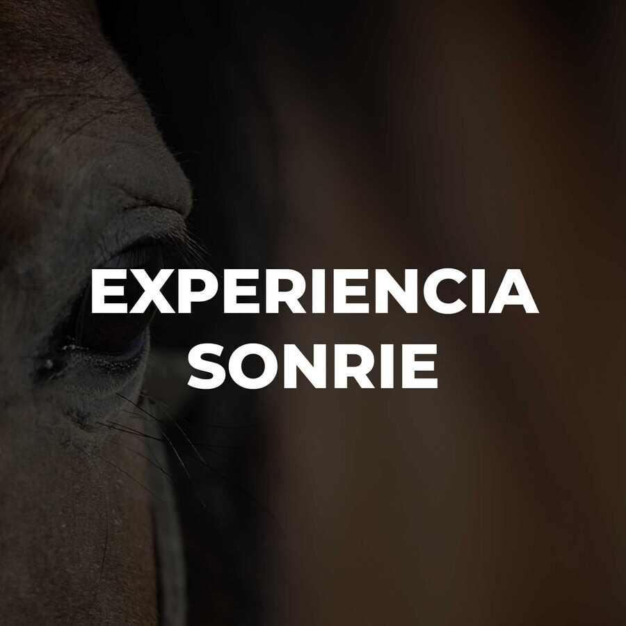 EXPERIENCIA SONRIE