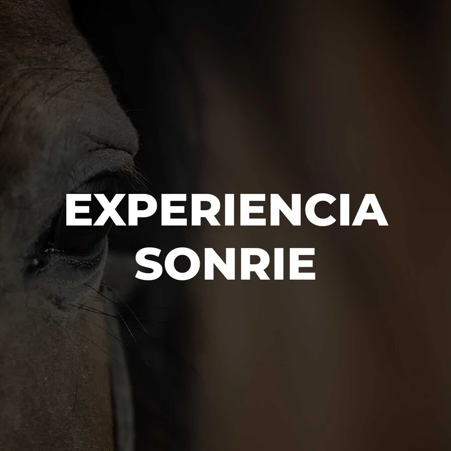 EXPERIENCIA SONRIE