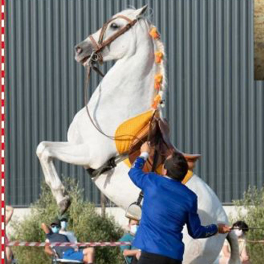 PRÁCTICA CON CABALLO PROPIO